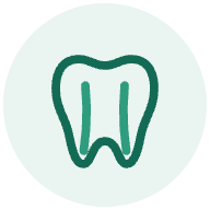 Ícone de tratamento de canal: dente com os canais das raízes destacados por dentro